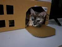 https://images.plurk.com/zXcCcJoaBjrjKJRirMDEx.jpg