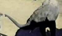 https://images.plurk.com/zvE2C39bdkbW7PHeNfJUR.gif