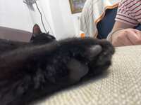 https://images.plurk.com/zyVNnlmM3byR1l6X25lxI.jpg