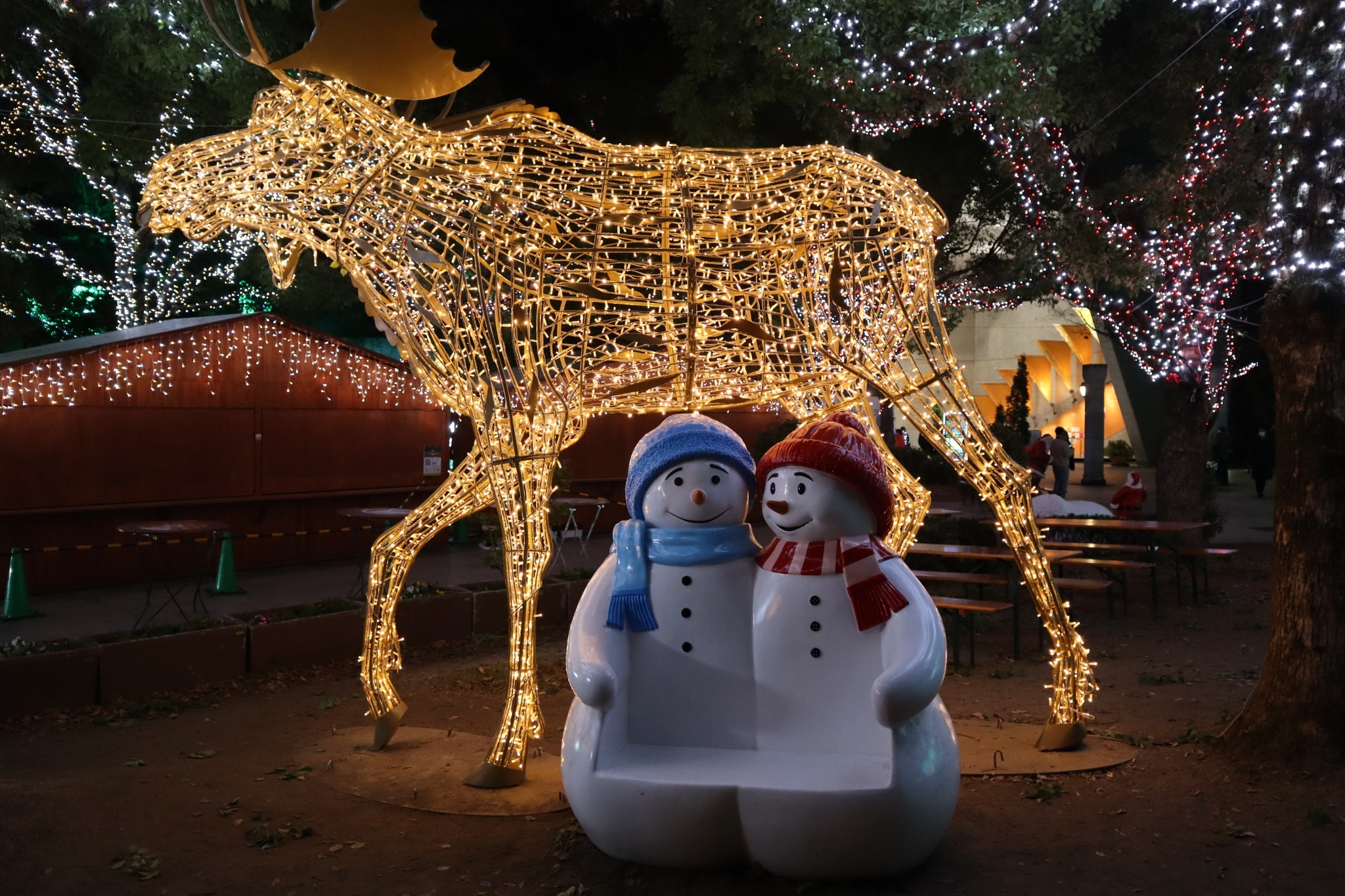 圖 12月的北九州迷妹旅