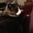 https://images.plurk.com/2ZXi-1bjVKM9oA46UaxRr6dZ3rB.jpg