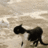 https://images.plurk.com/3Os6m5BQ0n7lV20y70Cmxu.gif
