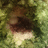 https://images.plurk.com/4030084_c279efceac332252c0bc71ab8e3a3715.jpg