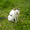 https://images.plurk.com/4401702_fb9bd66680c4fff008947c25c0626084.jpg
