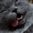 https://images.plurk.com/5ABO01HeAcu98Xjnjy0hkV.gif