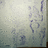 https://images.plurk.com/5F8VojstyYEE6S6eWOfJjf.jpg