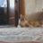 https://images.plurk.com/6b7TuABLaEQud1n0DMtnlE.gif