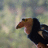 https://images.plurk.com/6zlWncSiZdwCk3pw4EZc6P.jpg