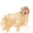 https://images.plurk.com/7619dfa0b4b219afabdeaa6359eebb08.jpg