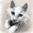 https://images.plurk.com/81c94d7b780404defec2cedb73fc5c38.jpg