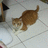 https://images.plurk.com/C18b-6BcwdxJDYxqgugSoEuxpMf.jpg