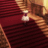 https://images.plurk.com/CNq3-15U4y4hwoFFUw538IgwGEw.jpg