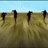 https://images.plurk.com/D2gg-LK6WWpjlO1EMCc3u0E8Xt.jpg