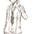 https://images.plurk.com/Dins-ecRGULRAlpq9pNIrhWmxB.jpg