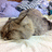 https://images.plurk.com/DtHy-79HzRjMLeD8gRYdr0QIdL5.jpg