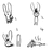 https://images.plurk.com/EnsE-1pjVL1VhxMxew9iQXcAz9x.jpg
