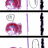 https://images.plurk.com/F9Qv-6Ot2xtc5LaC2xYRiSjLGqU.jpg