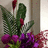 https://images.plurk.com/Fkls-7iPkoeycuSyE7YpRtbge1s.jpg