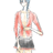https://images.plurk.com/FrZh-3RKLbDZXbYglL1TOrobDvd.jpg