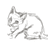 https://images.plurk.com/a817c960a452c81e0127065fb28e05d2.jpg