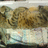 https://images.plurk.com/c6072a2c0f6362498208efa21fe50010.jpg