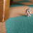 https://images.plurk.com/d71fa4d5aecc1783569859a04b309d97.gif