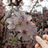 https://images.plurk.com/dFSK-7ng6fsfyVTeB8JghkezP4h.jpg
