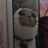 https://images.plurk.com/e6Dx-6qbjAFalraDlCsv7iBL7N8.jpg