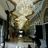 https://images.plurk.com/eG14-6C1eEGWEUbSrBh2tDctBzq.jpg