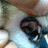 https://images.plurk.com/eQi0-7dwj8bCmF7lUWORoIid9VF.jpg