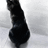 https://images.plurk.com/eb518f93afbb8002b1c681467037c476.jpg