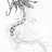 https://images.plurk.com/f9ab428d569f82416e32aad1121beab8.jpg