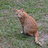 https://images.plurk.com/hU4a-36ctde7okVtG690Ba0viUG.jpg