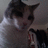 https://images.plurk.com/i8IM-2dyQiyNydLwSqZIUpzcpLj.jpg