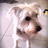 https://images.plurk.com/keuY-3gXe9tx8b8Iwdt6UlZeyA4.jpg
