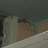 https://images.plurk.com/nTnT-5VKp9rN1kxsEEzbH6kwzIu.jpg