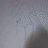 https://images.plurk.com/uPpi-7lFPzsABhbynnXsuMyxEBY.jpg