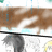 https://images.plurk.com/vNc1-1CAGg4BMZBDV50DxRv5YXJ.jpg