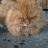 https://images.plurk.com/wGaP-1AlmJj6dhTAEvnr8j7W3SL.jpg
