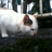 https://images.plurk.com/wGaP-49OmYBOSTAZun14FFhzgMB.jpg