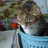 https://images.plurk.com/wGaP-5VzjMxjNKOwjaZDDAHFIUo.jpg