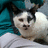 https://images.plurk.com/wGaP-5i0DeB7fs32jXDRUNxSVQu.jpg
