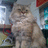 https://images.plurk.com/wGaP-7y3S7M4FxZ7WfKPjOKbVGP.jpg
