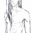 https://images.plurk.com/zXz0-7iCX16u4CGKPC8UJGxyMRW.jpg