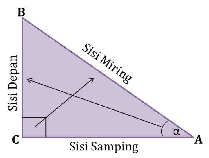 Perbandingan Trigonometri Pada Segitiga Siku-siku - Matematika